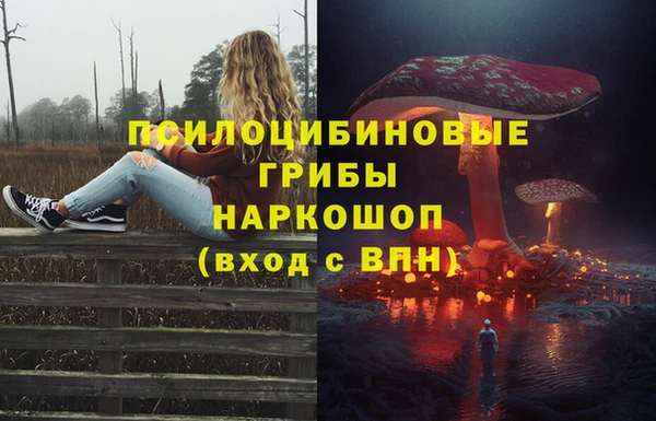 каннабис Алзамай