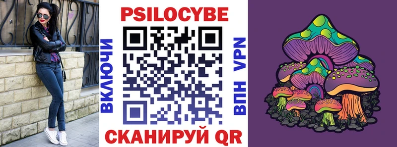 Галлюциногенные грибы Psilocybine cubensis Дно